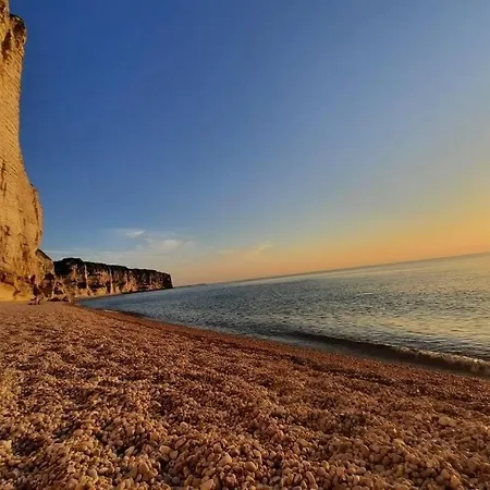 公寓 L'estran - Pleine *