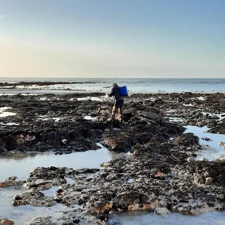 L'estran - Pleine 公寓 Saint-Pierre-en-Port